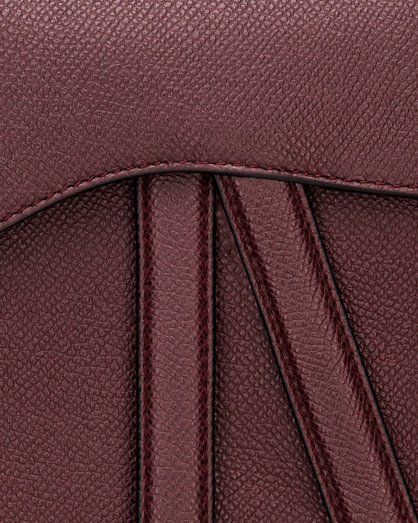 Dior Saddle Bag Strap