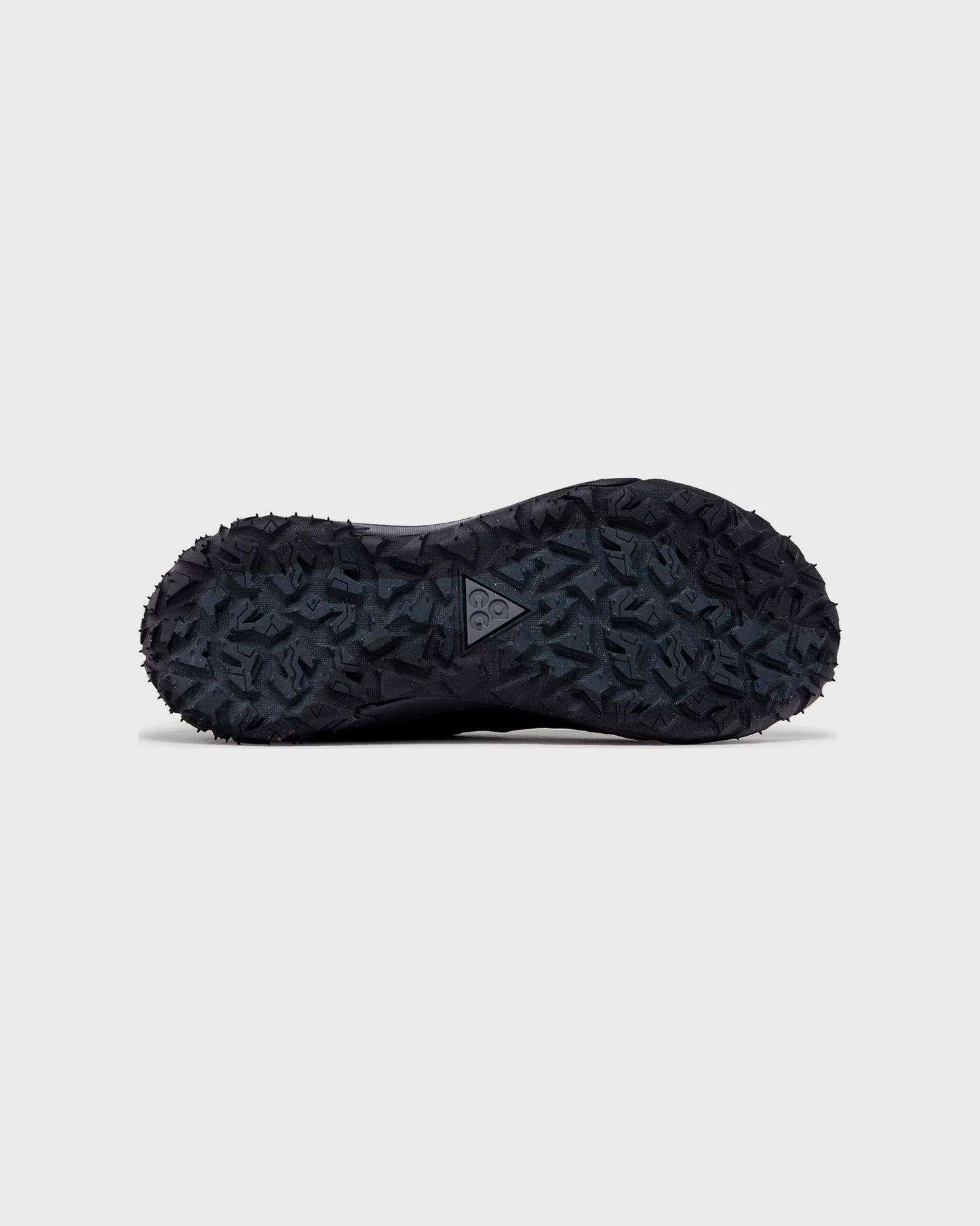 Nike ACG Mountain Fly 2 Low Black